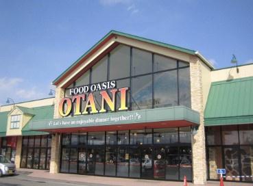 日光市板橋の中古一戸建て(フードオアシスOTANI大沢店)