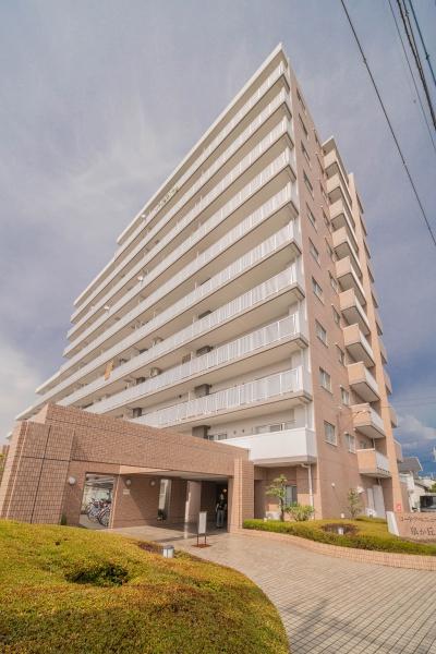 コートアベニュー泉が丘
