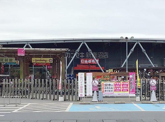 鹿沼市貝島町の中古一戸建て(ホームセンターカンセキ新鹿沼店)