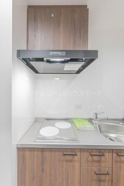 新築一棟売アパート　ハウスゲート桜（仮）
