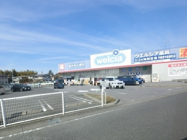 宇都宮市中今泉３丁目の土地(ウエルシア宇都宮今泉新町店)