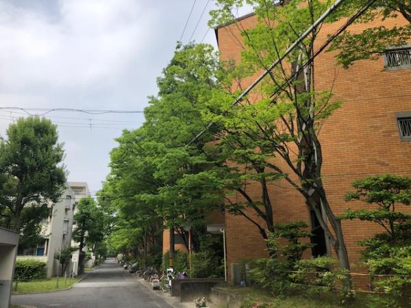 東大路高野第３住宅40棟