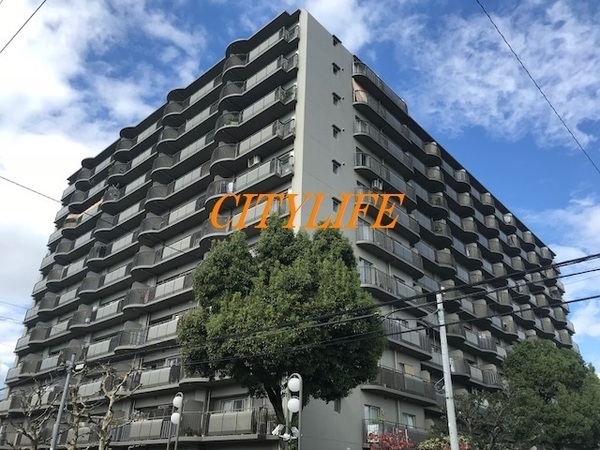ルネ西大路