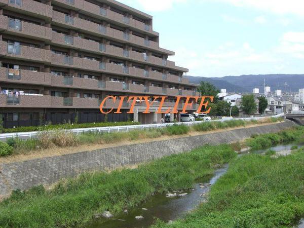 パデシオン山科東野