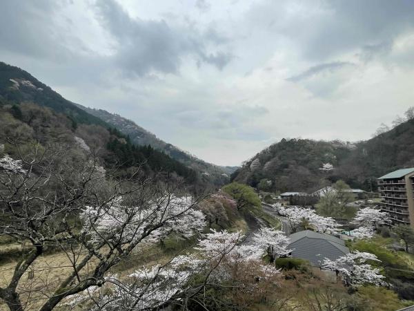 八瀬鱒乃坊アーバンコンフォート