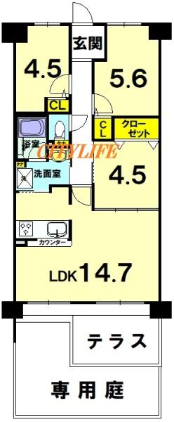 ディオ・フェルティ丹波橋右芳館