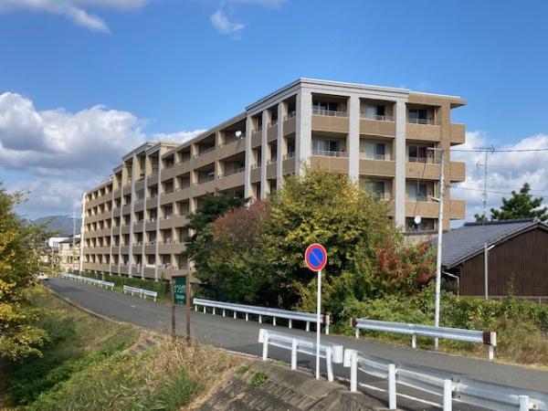 ネバーランド西京極