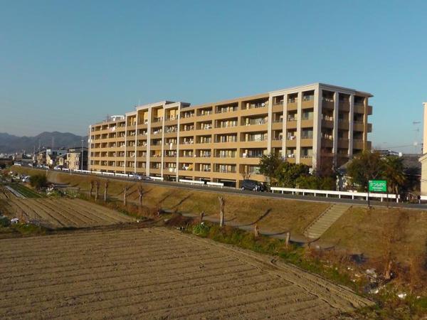 ネバーランド西京極