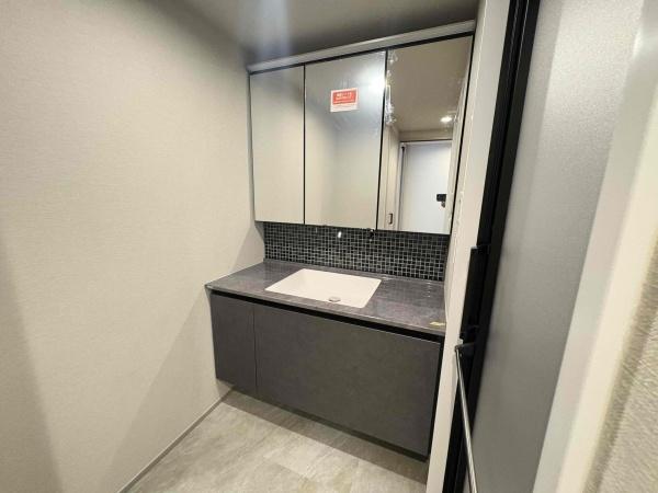 ザ・京都レジデンス御所南(洗面台・洗面所)