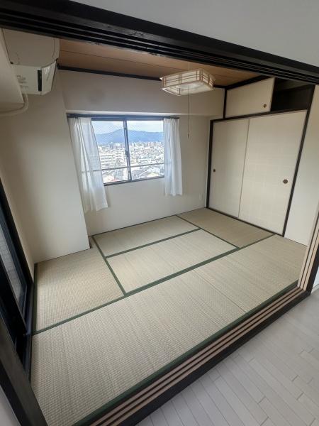 コスモ紫野
