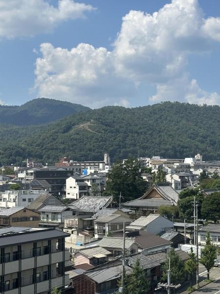 コスモ紫野