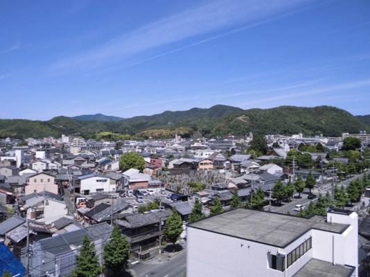 コスモ紫野