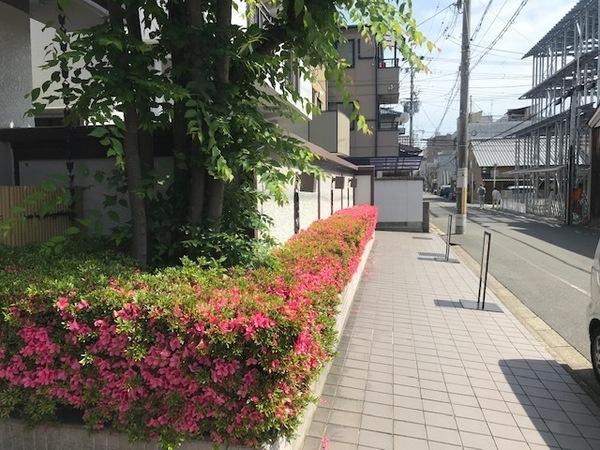 ロワイヤル室町