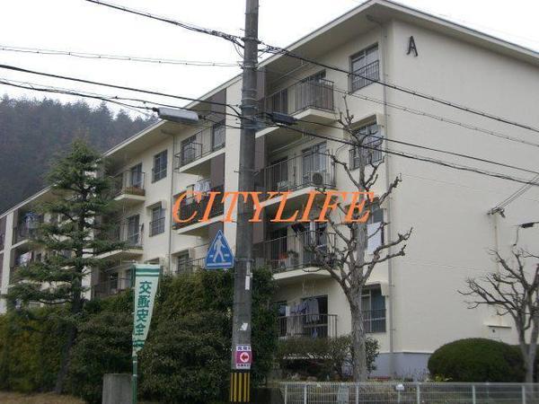 岩倉村松中層団地Ｃ棟
