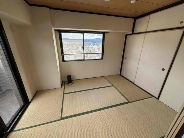 コスモ紫野