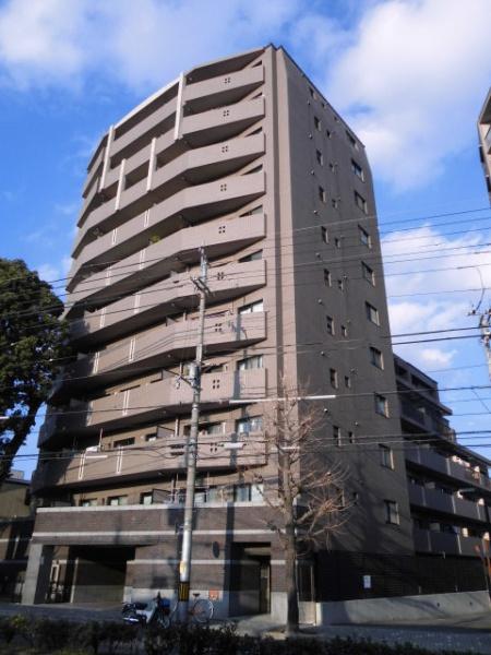 コスモ紫野