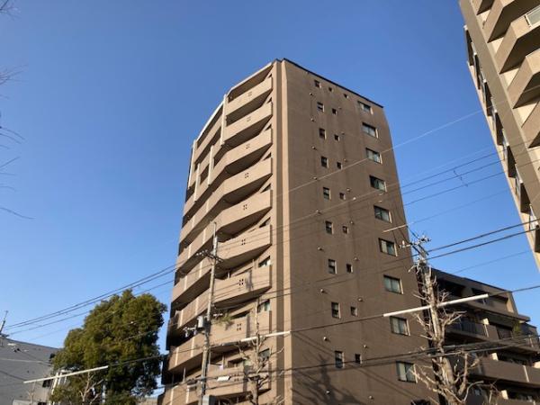 コスモ紫野