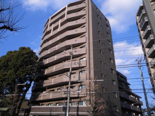 コスモ紫野