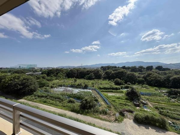 ネバーランド西京極