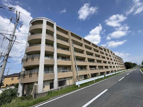 ネバーランド西京極