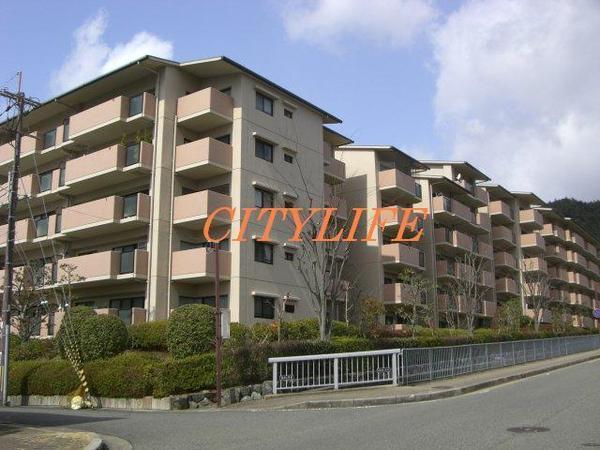 サンシティ桂坂ロイヤル参番館