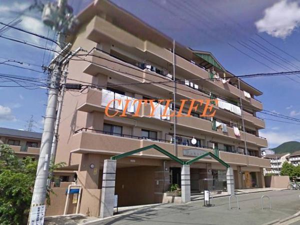 アルモード醍醐