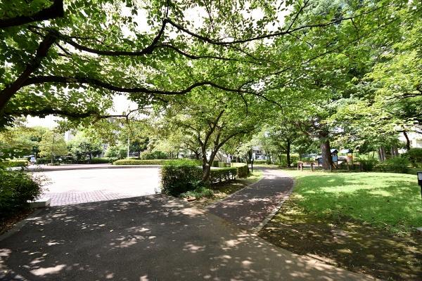 志木ニュータウン中央の森弐番街4号棟(中央の森弐番街の広場)