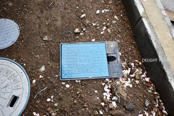 埼玉県ふじみ野市水宮第３　新築戸建　全1棟