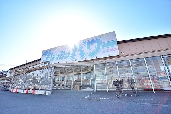 埼玉県川越市藤木町 全1棟 新築戸建(エコス木野目店)