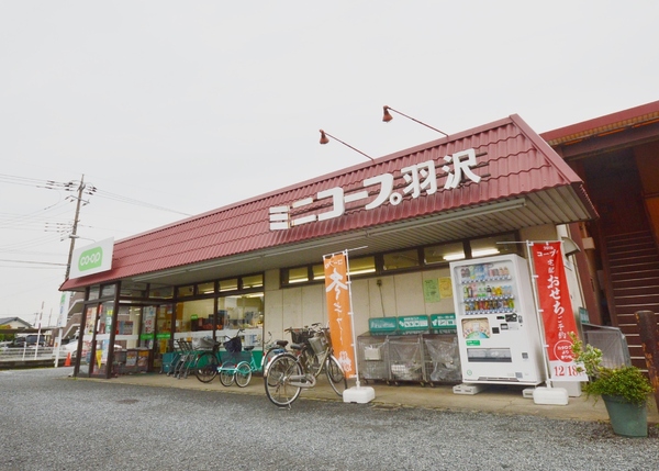 富士見市羽沢1丁目の中古一戸建て(ミニコープ羽沢店)