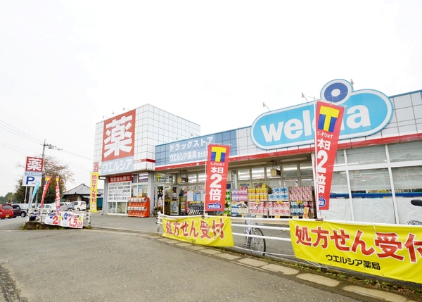 富士見市羽沢1丁目の中古一戸建て(ウエルシア薬局富士見渡戸店)