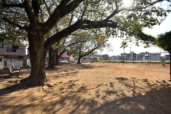 富士見市羽沢1丁目の中古一戸建て(羽沢1丁目多目的広場)