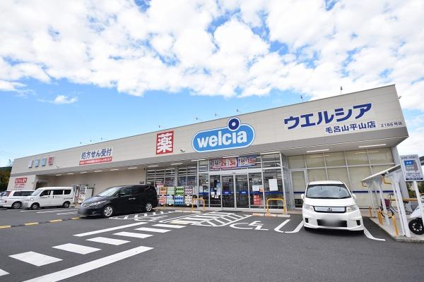 入間郡毛呂山町岩井東１丁目の土地(ウエルシア毛呂山平山店)