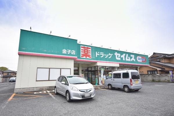 入間市大字寺竹の中古一戸建て(ドラッグセイムス金子店)