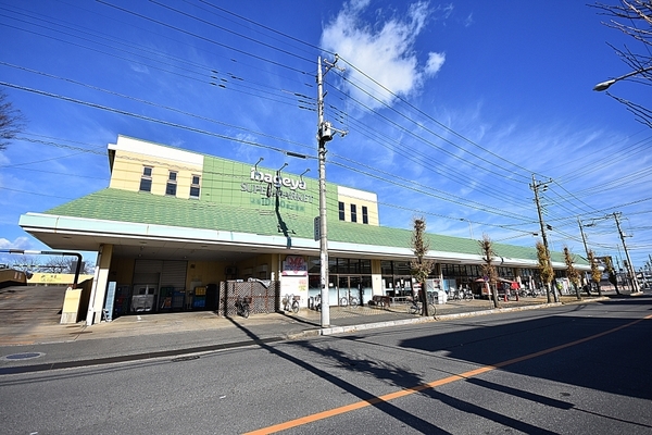 ダイアパレス川越新河岸(いなげや川越新河岸店)
