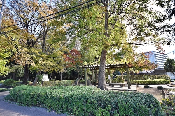 コスモふじみ鶴瀬(谷津の森公園)
