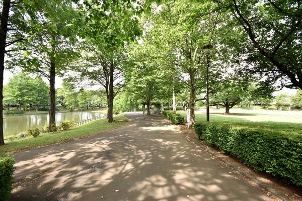 埼玉県川越市霞ケ関北5丁目　新築戸建(御伊勢塚公園)