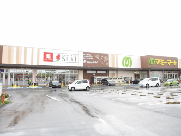 埼玉県ふじみ野市鶴ケ舞1丁目　新築戸建(ドラッグストアセキ鶴ヶ舞店)