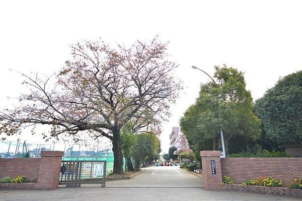 埼玉県ふじみ野市鶴ケ舞1丁目　新築戸建(ふじみ野市立大井東中学校)