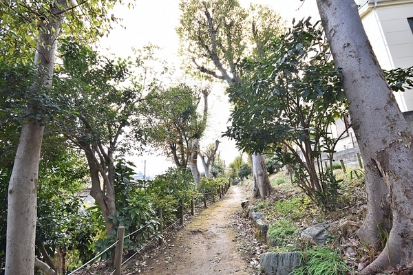 東武サンライトマンションさつき(八ヶ上西緑地公園)