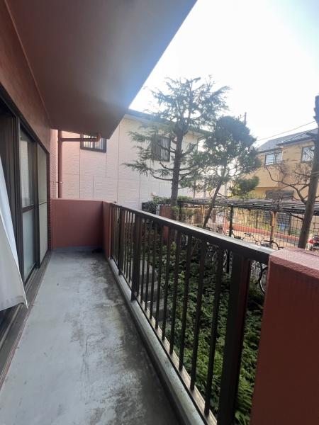 セザール大宮中央公園