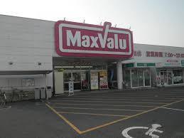 岩国市通津の土地(マックスバリュ通津店)