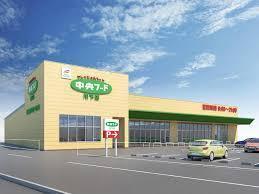 岩国市川下町1丁目の土地(中央フード川下店)