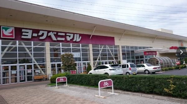 ナイスエスアリーナ宇都宮城東(ヨークベニマル簗瀬店)