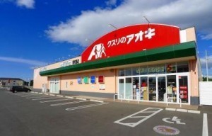 那須塩原市春日町の新築一戸建(クスリのアオキ豊住町店)
