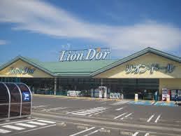 塩谷郡高根沢町大字宝積寺の新築一戸建(リオン・ドール高根沢店)