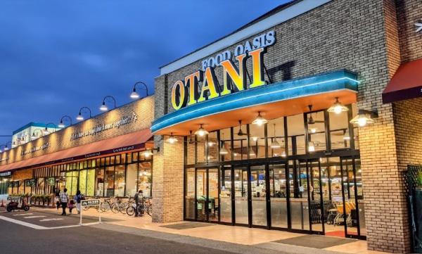 宇都宮市平松本町の中古一戸建て(フードオアシスOTANI平松店)