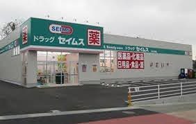 宇都宮市五代２丁目の新築一戸建(ドラッグセイムス西川田店)