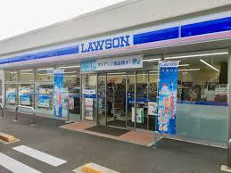 那須塩原市若草町の新築一戸建(ローソン那須塩原埼玉店)