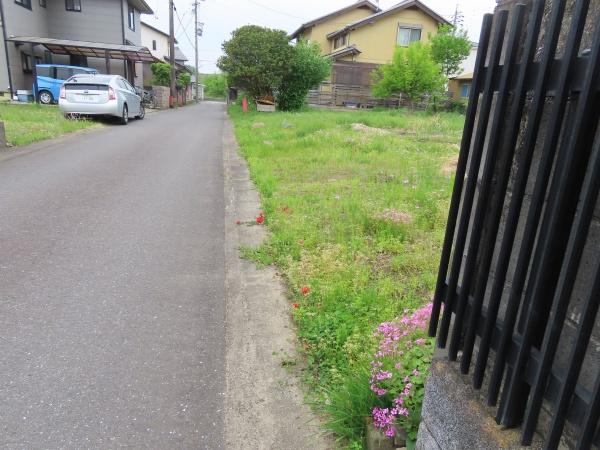 江南市後飛保町神明野の土地